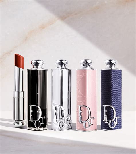 dior lipstick holder and case